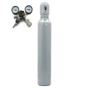 CO2-Gasflasche 8l + Bierdruckminderer