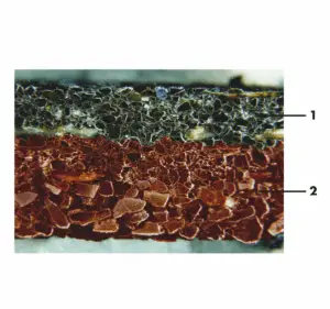 Würth Scheibe Detail